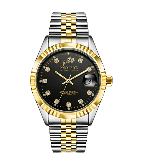 Black dial men’s watch with silver-gold strap – PP-629-001-24-SGB